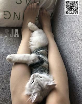 《堕落天使》在线观看免费完整版