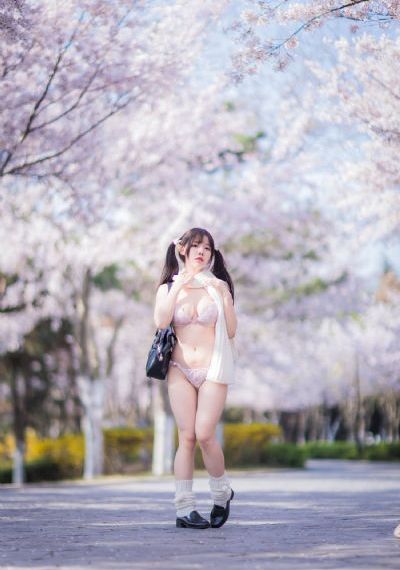 森林进化论2
