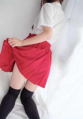 葵花进城