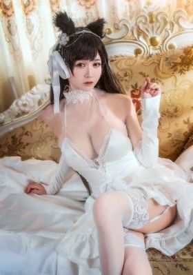 成人免费毛片高清视频